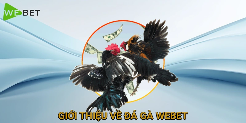 gioi-thieu-ve-da-ga-webet