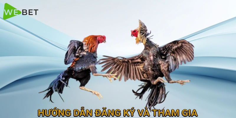 huong-dan-dang-ky-va-tham-gia